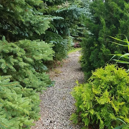 לינה וארוחת בוקר Pod Roza *