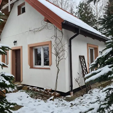 Pod Różą *